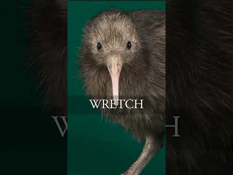 This bird's build is AWFUL