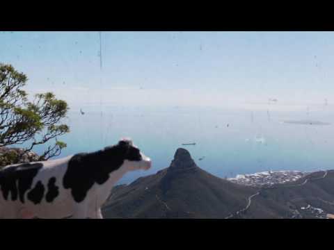 COPY011 - Laroz Camel Rider - Mad Dog (Video Cut)