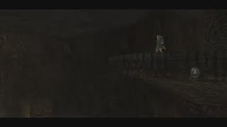La Grotta della Prova pt 1 [The Legend of Zelda Twilight Princess ep 51]
