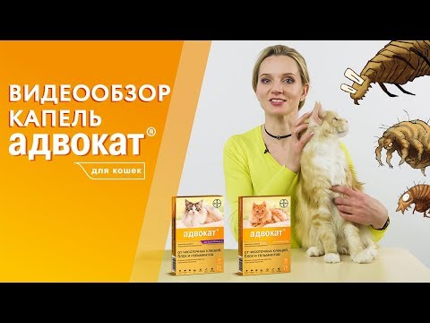 Капли Адвокат от блох, чесоточных клещей, глистов для кошек. Видеообзор от производителя.