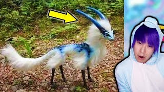 Animals You Won&#39;t Believe ACTUALLY Exist!