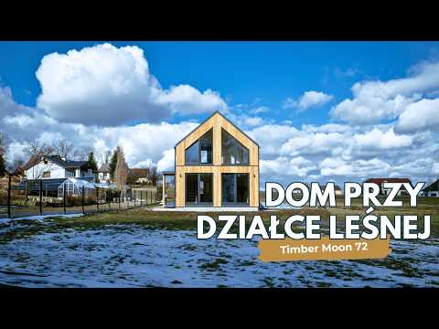 WOODEN HOUSE NEAR A FOREST PLOT - WHAT CHALLENGES WE HAD TO ENCOUNTER: TIMBER MOON 72