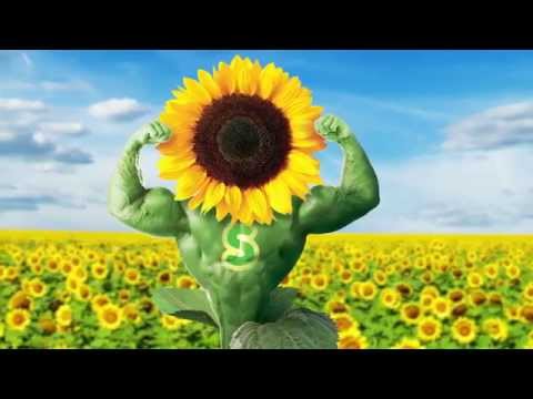 May Tohum SmartOR Tanıtım Filmi