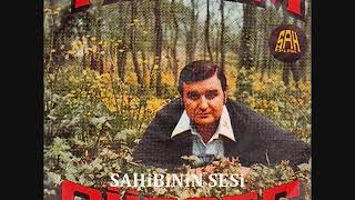 Yıldırım Gürses - Meşeli dağlar meşeli (Bursa'nın ufak tefek taşları)