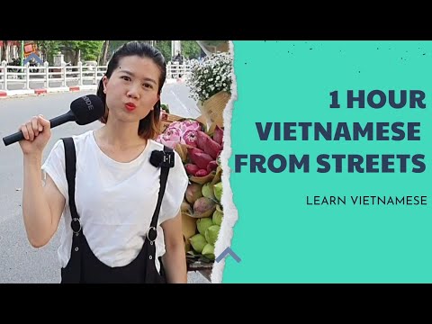 1 HOUR LEARN VIETNAMESE FROM STREETS