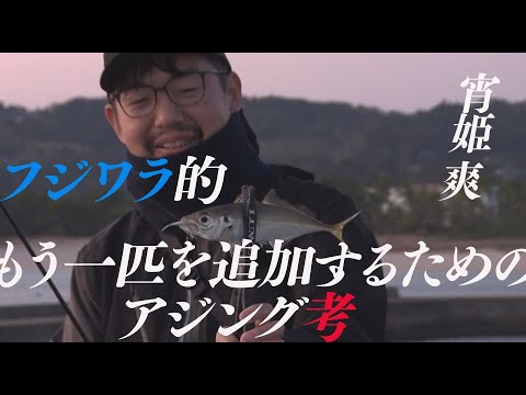 【宵姫 爽】フジワラ的　もう一匹を追加するためのアジング考