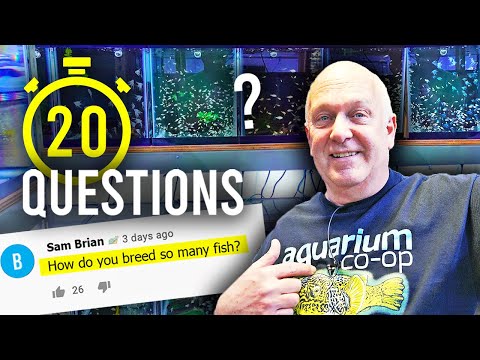20 Questions with Master Breeder Dean