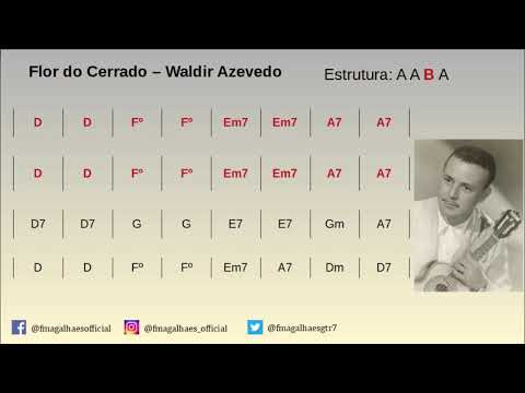 Playback para solo - Flor do cerrado (Waldir Azevedo)
