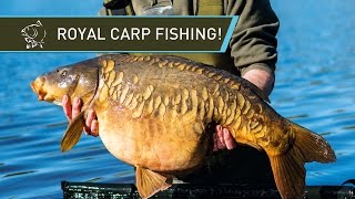 ROYAL CARP FISHING - Simon Crow at Windsor Park!