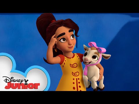 失蹤的山羊在哪裡？| 御用偵探米拉｜迪斯尼少年版 (Where is the Missing Goat? | Mira, Royal Detective | Disney Junior)