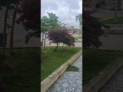 Boa tarde tudo bem com vocês mostrando um pouco da cidade de Castro Alves Bahia bjs