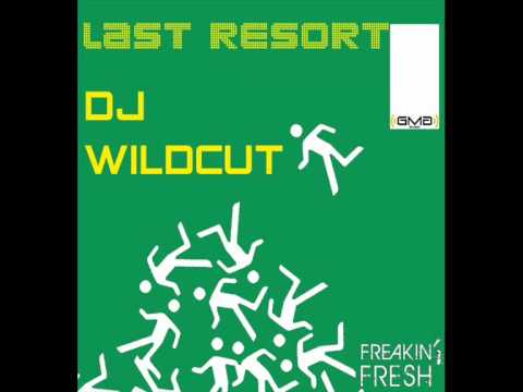 DJ Wildcut - Last resort (DJ's from mars human radio edit)