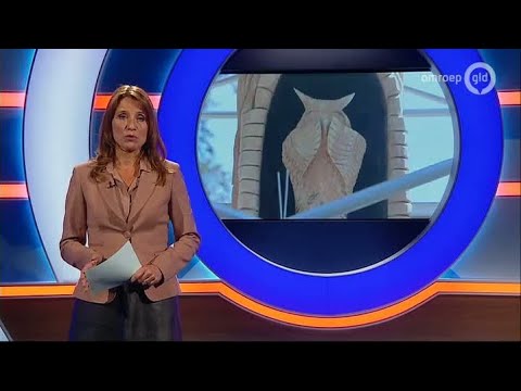 GLD Nieuws 12 juli 2014