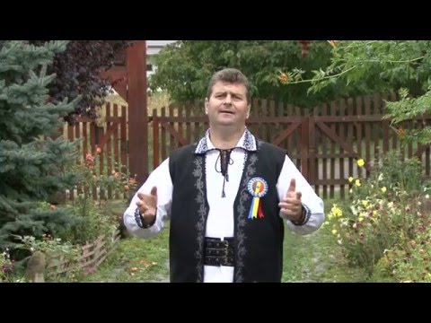 Gavril Ciciovan -  Mi plin podu de multam