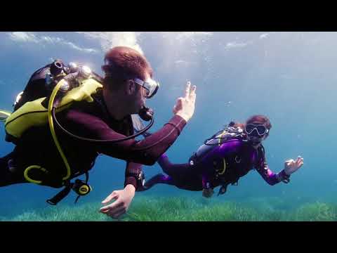 Video Review of the Aqua Lung Transmitter for i450T i750T and i770R Computers