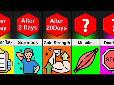 Timeline Comparison: What If You did 100 Push Ups Everyday