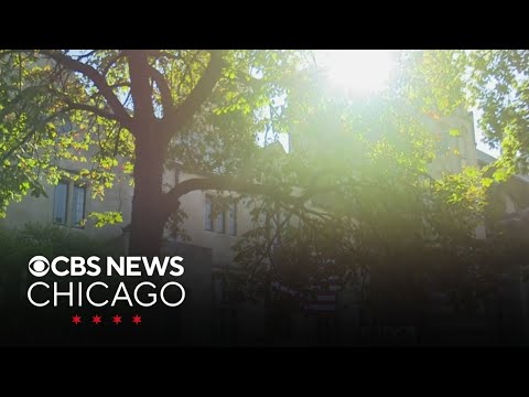 Woman alleges rape at University of Chicago fraternity party in ...
