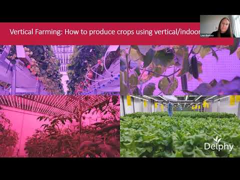 #55 - Vertical (Indoor) Farming Strawberry and Fruit Crops
