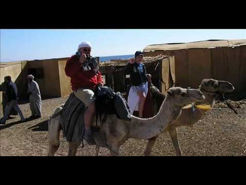 Aleksander Nõlvak -  Karakum