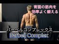 背面の筋肉を効率よく鍛えるバーベルコンプレックス[Barbell Complex]