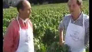 preview picture of video 'Harvest 2007 in Champagne'