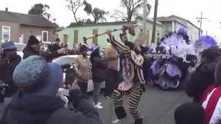 Spyboy ~ Mardi Gras Indian 2015