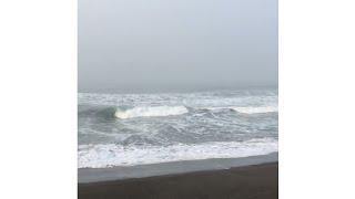 Download lagu PRANK TEMEN 51 - PANTAI LAGI CUUUY mp3 Download lagu PRANK TEMEN 51 - PANTAI LAGI CUUUY mp3