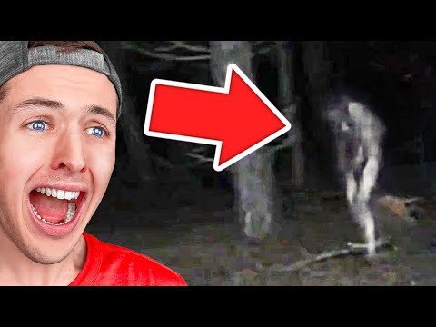 TOP 5 Scariest HAUNTED Woods Encounters Caught On Camera