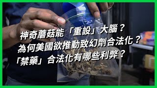 [問卦] 美國把迷幻香菇 搖頭丸當作藥物的卦
