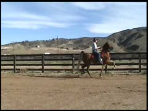 Royal Pleasure Majestic Farms LLC