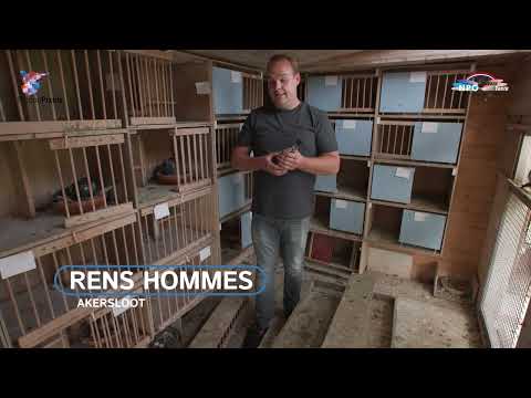 Nederlandse Kampioenen NPO/WHZB/TBOTB 2022 marathon