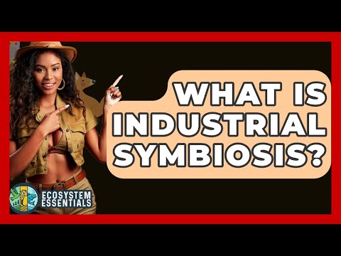 What Is Industrial Symbiosis? - Ecosystem Essentials