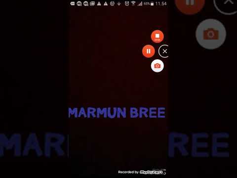 Mali vuk krasta I tata zuti rasta??