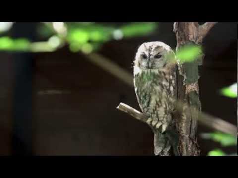 Zukunft Technik Leben