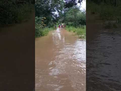 Efeito La niña trazendo muita chuva em Tanque Novo - Bahia #Shorts