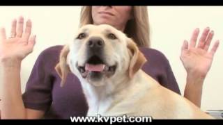 KVPet.com TV Spot