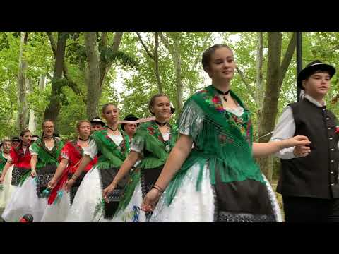 Kirchweih in Busiasch 2025 #travel #kirchweih #reisen #drone #easterneurope #banat #droneview