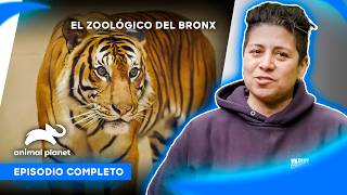 Thumbnail del capítulo