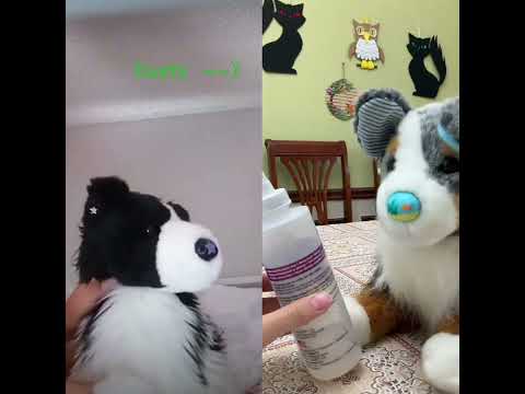 I try to post 3 times each day! :3 @CownsFam  #essa #essacommunity #tadc #duet