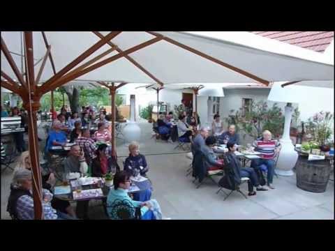 Pavel Dobeš - Mery Hery a dva revolvery