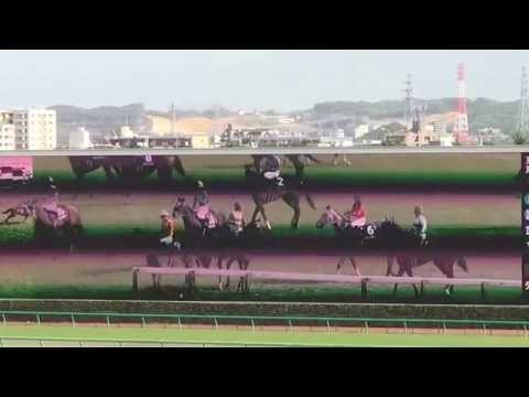 NHKマイルカップ NHK MILE CUP クラリティスカイ Clarity Sky