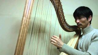 클래식 음악 Cross-strung harp "El Noi de la Mare" 하프