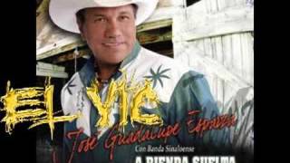 gallo mexicano -jose guadalupe esparza