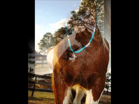 YouTube video about: How to make rhythm beads for horses?