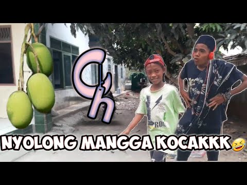 NYOLONG MANGGA KOCAKKK🤣| LUCU BIKIN NGAKAKK🤣😅