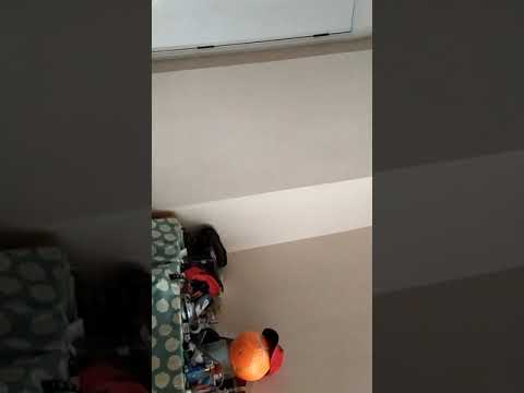 nighbour Flat 33/9 Linden Gardens harassing me with noise non stop over a year