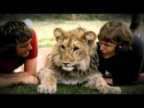 Ein Löwe namens Christian / Christian der Löwe komplette Dokumentation (deutsch) Part 2/3