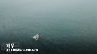 소청초 기지의 해무 (드론)