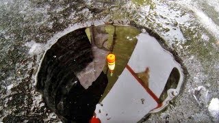 Ловля на поплавочную удочку зимой плотвы