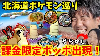 北海道課金限定ポッポ！？帰宅の危機に遭いながらもポケモン巡り！【ポケモンGO】
